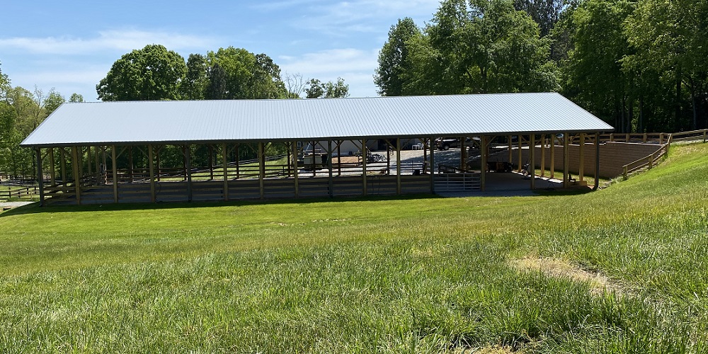 New Arena Side View